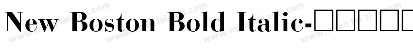 New Boston Bold Italic字体转换